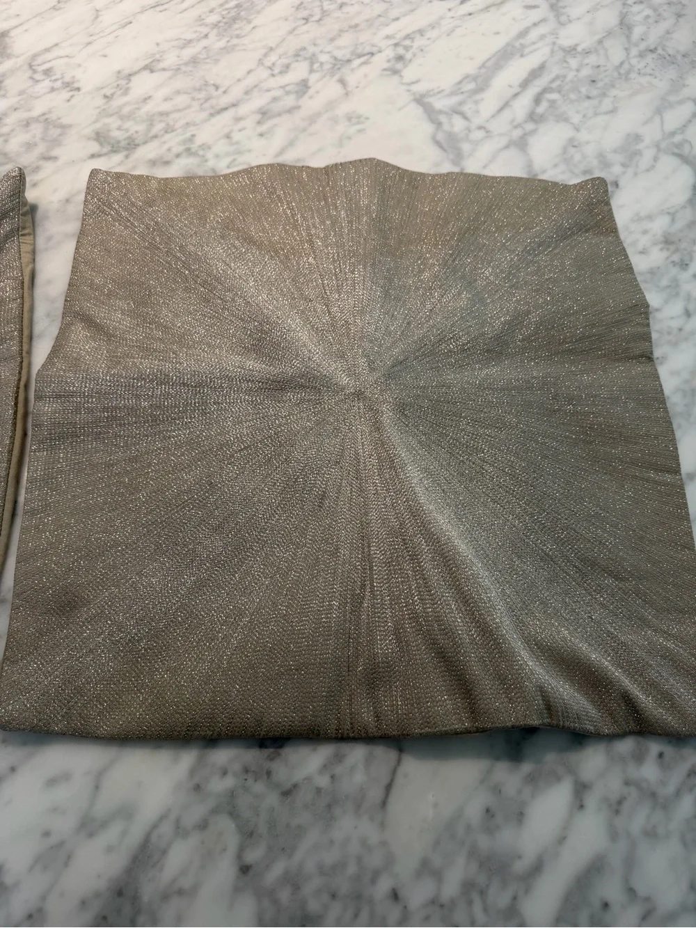 West Elm Metallic Decorative Throw Pillow Pair
